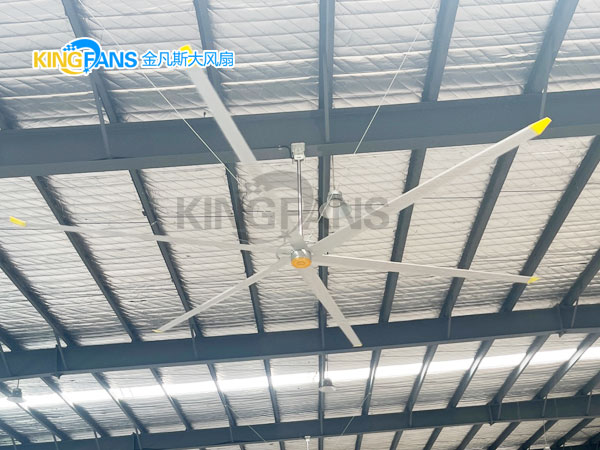 工业大风扇吹出来的自然立体风