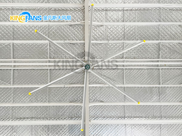 使用工业大风扇下降的温度是多少